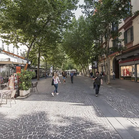 Nocleg ze śniadaniem The Andy House 4*